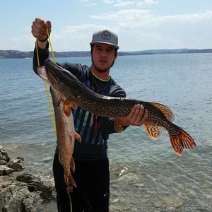 Meet your Posher, Alex